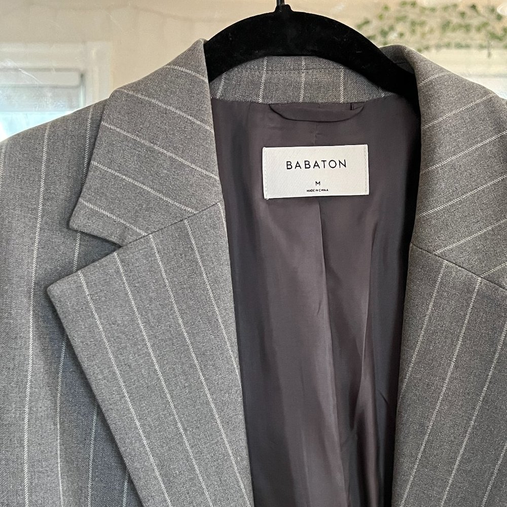 Grey & White Pinstripe Babaton Concept Blazer by Aritzia